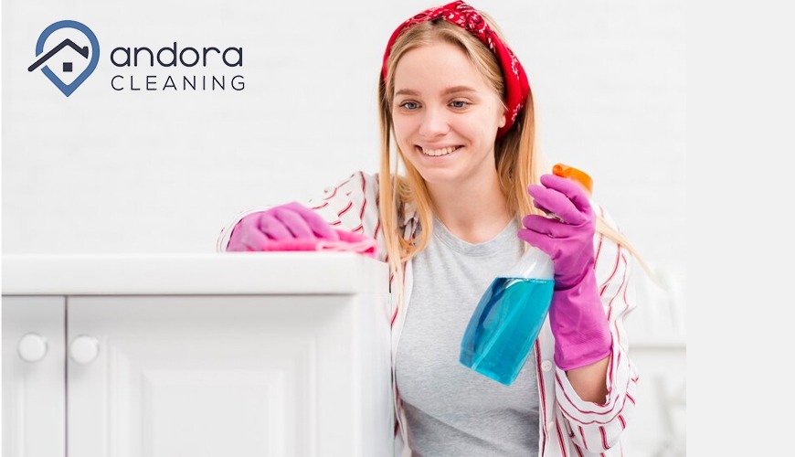 The Top Benefits of Hiring Professional Maid Services in North Loveland