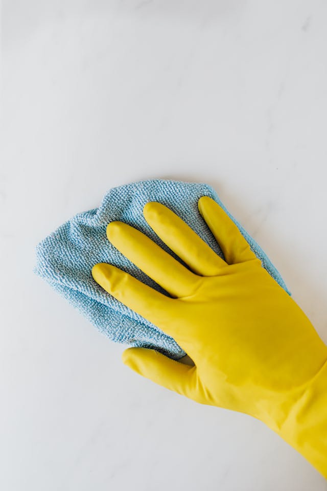 How to Get Your Home Ready for a Professional Cleaning Service